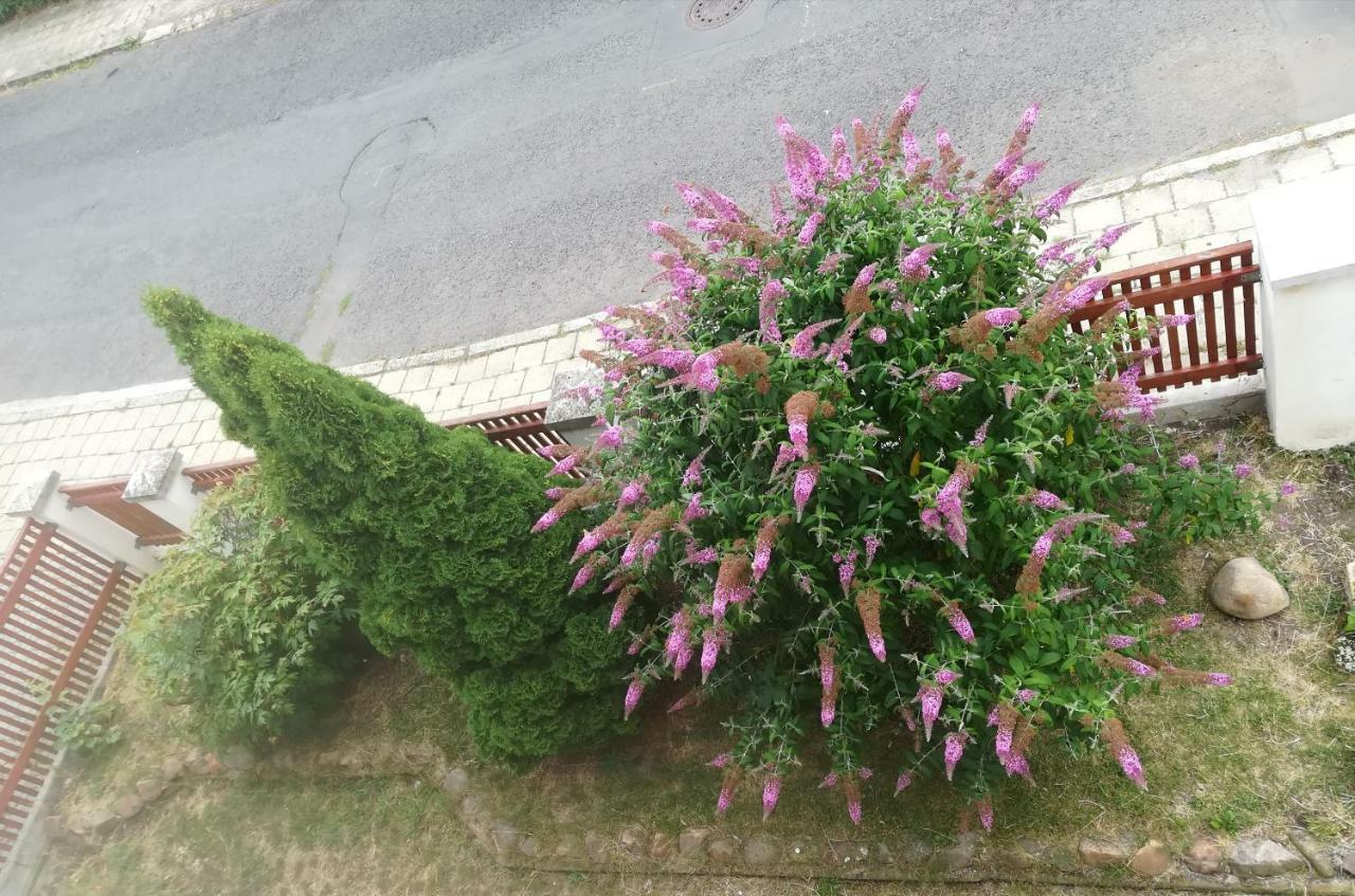 Penzion Flora Žatec Eksteriør billede